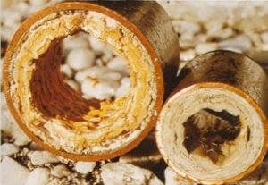 descalcificación_toledo