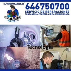 ¿El inodoro gorgotea? Puede ser señal de un atasco grave