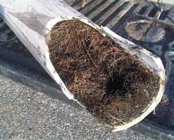 Atascos de tuberías en Madrid: causas frecuentes y soluciones