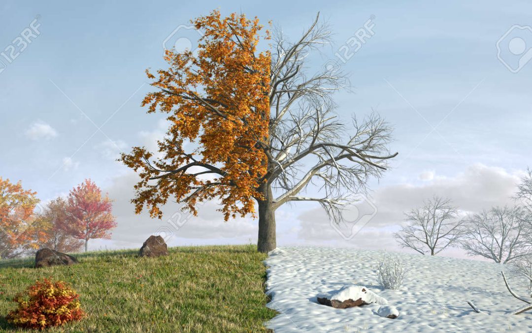 Atascos en tuberías: por qué aumentan en otoño e invierno