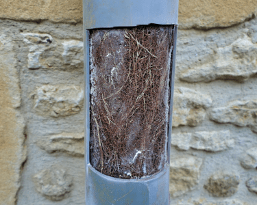 Raíces en tuberías: cómo dañan el saneamiento en chalets