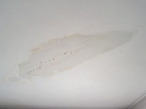 Evitar humedad paredes